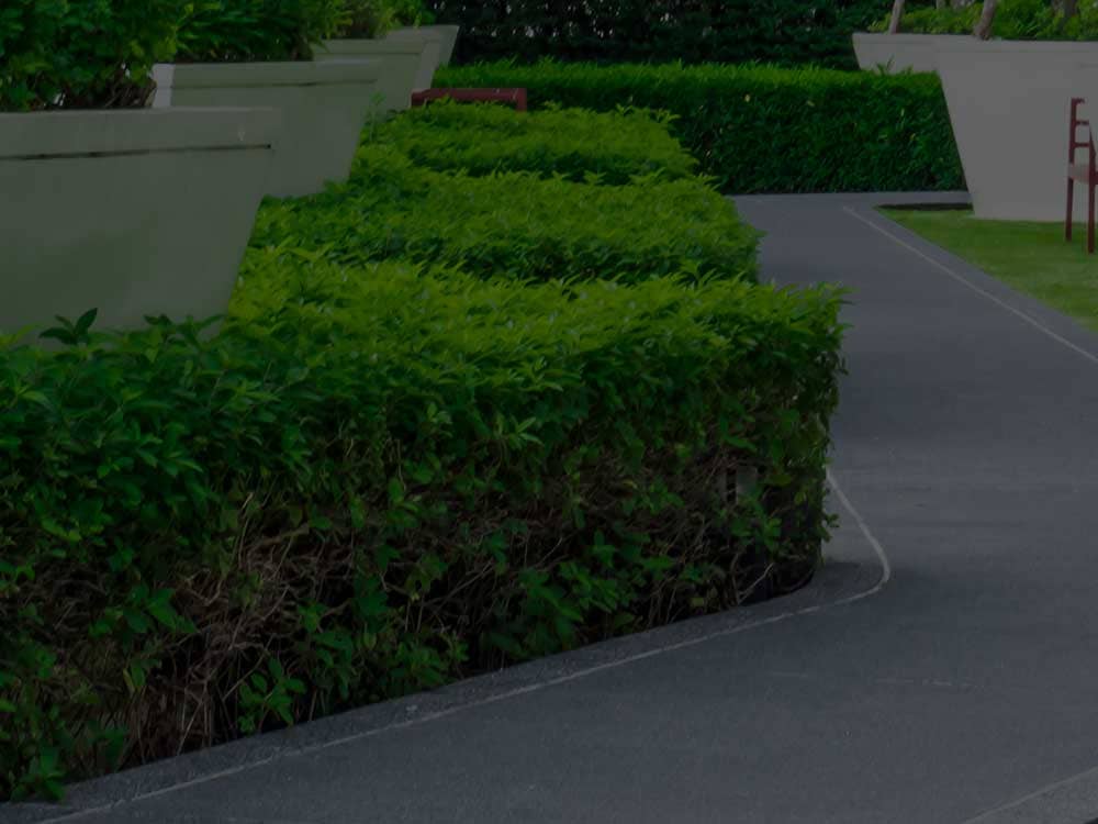 Commercial Landscaping